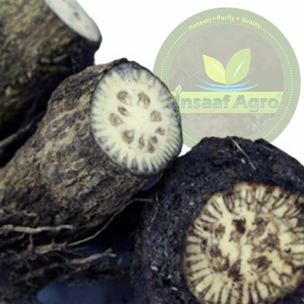 Deshi Chui Jhal - চুই ঝাল গোঁড়া